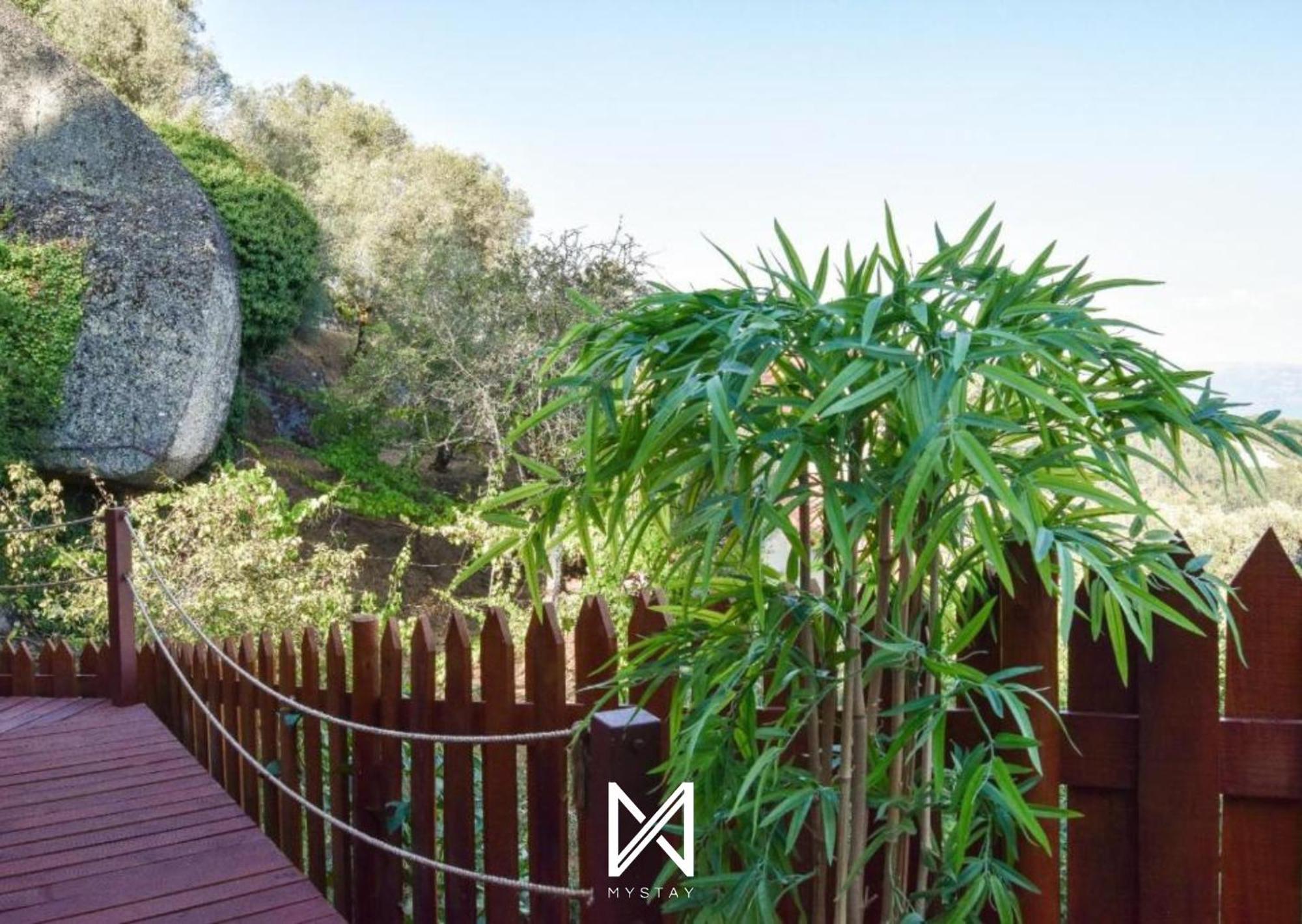 Mystay - Casa Das Oliveirinhas Bungalow By Refugio Ao Luar セロリコ・デ・バスト エクステリア 写真